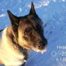 Neela
