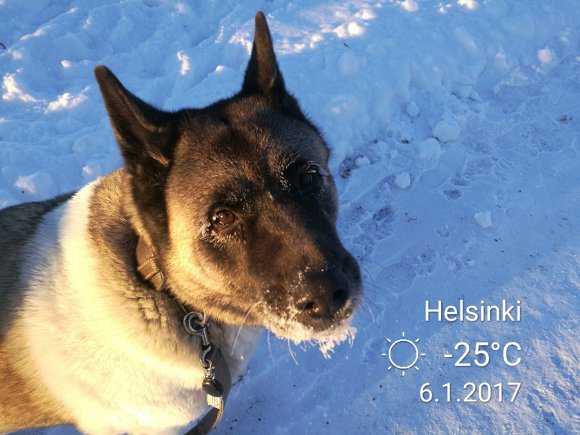 Neela